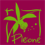 pleione-designfloral.over-blog.com