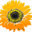 karenwheatley.com
