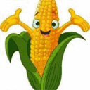 cornfieldproject.com