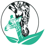 conteurshautstlaurent.com