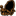 squid-labs.com