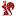 websquirrel.at