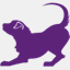 savvycanines.org