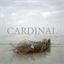 cardinal.bandcamp.com