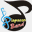 diapasonband.org