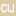 cijintl.com