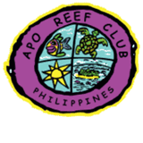 apostolicsportwear.com