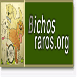 bichosraros.org