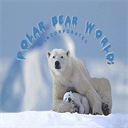polarbearworld.com