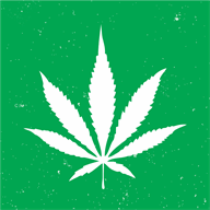 mjresearchstudy.com
