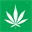 mjresearchstudy.com