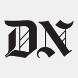 dobrushin.com