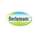 ofertaslaborales.net