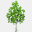 thebirchpath.wordpress.com