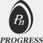 p-progress.com