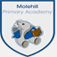 molehillprimaryacademy.org.uk