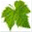 pasovines.net