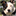 sheepdog-training.co.uk