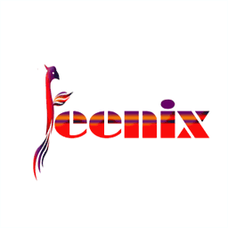 feenix.co.in