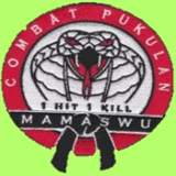 combatpukulan.com