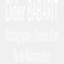 didierbabarit-photographe.com