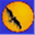 nixcar.it