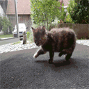 holzhaus-urlaub-lugerhof.de