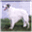 aldemoor.borzoi.net