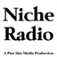 nicheradio.co.za