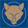 lcfcstatto.co.uk
