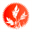 rootscorp.com