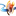 zaiocity.net