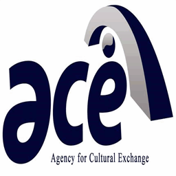 english.aceinternational.com.do