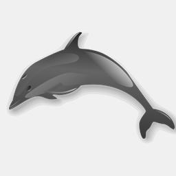 dolphinsdownunder.net