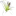 yurian.net