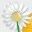 cassiarn.wordpress.com