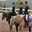 figarocourse.over-blog.com