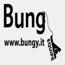 bungy.it