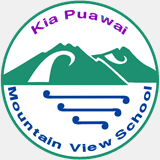mountainviewmangere.school.nz