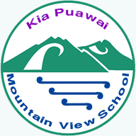 mountainviewmangere.school.nz