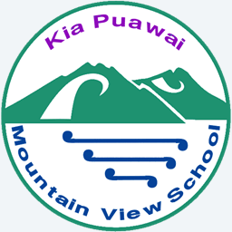 mountainviewmangere.school.nz