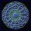 oursounduniverse.com