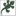 lezardweb.com