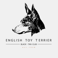 english-toy-terrier-club.co.uk