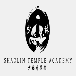 shaolintempleacademy.com