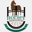 hostixssl.info