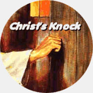 collegiatetravel.com