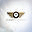 droneaviators.com
