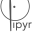 pipyr.com