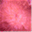 coralscape.net